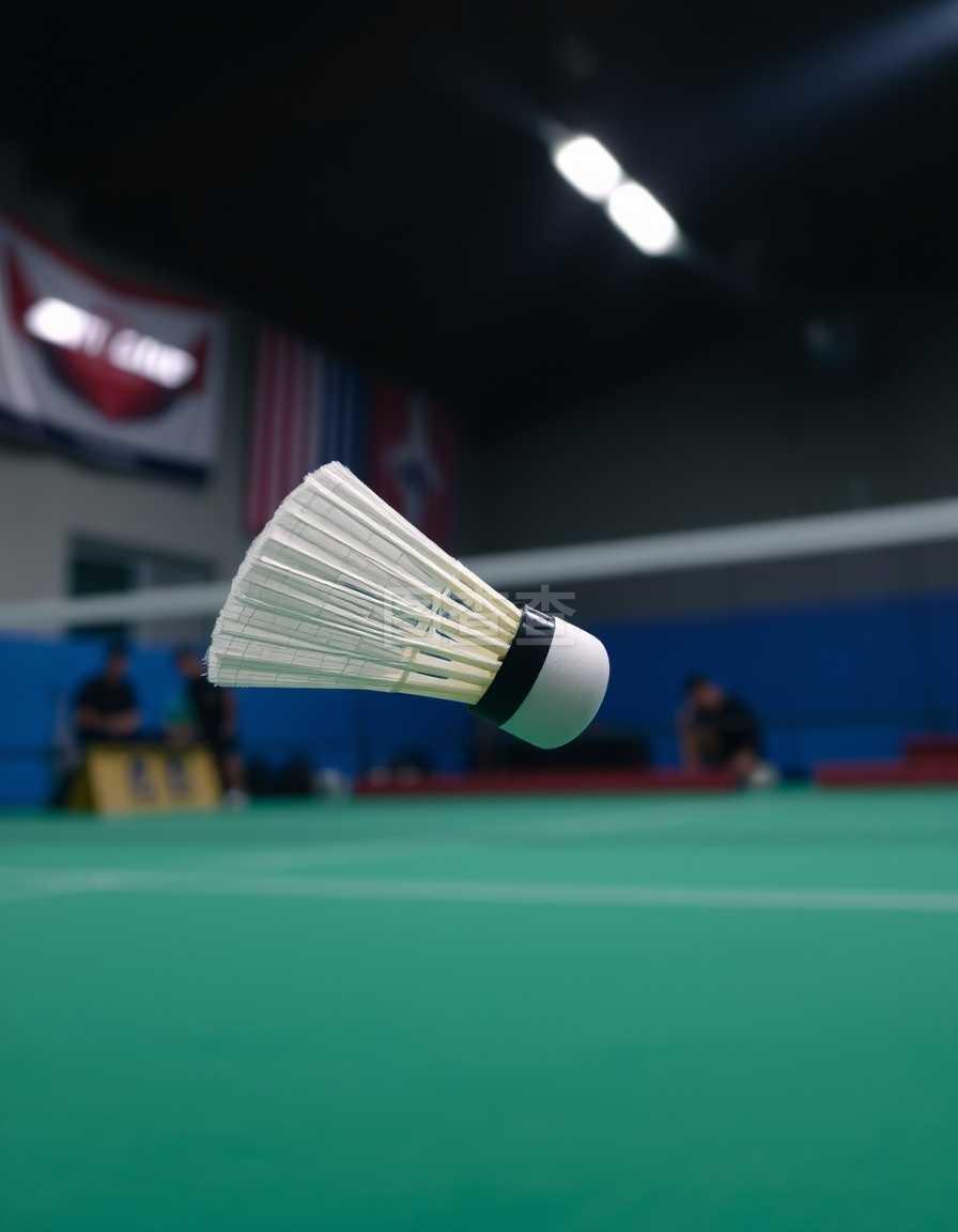 成为了田径 成为了田径