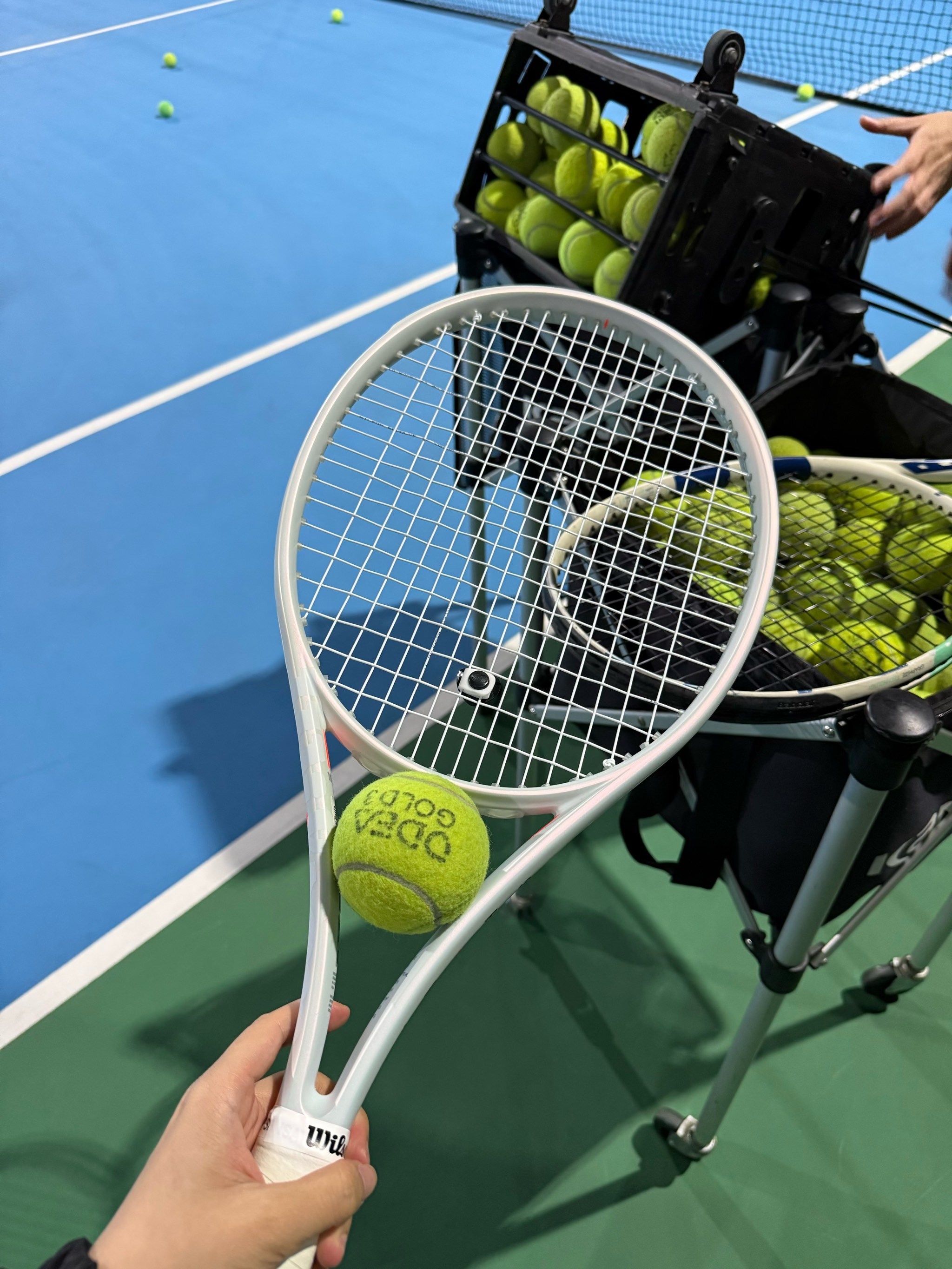 行肌肉拉伸 行肌肉拉伸